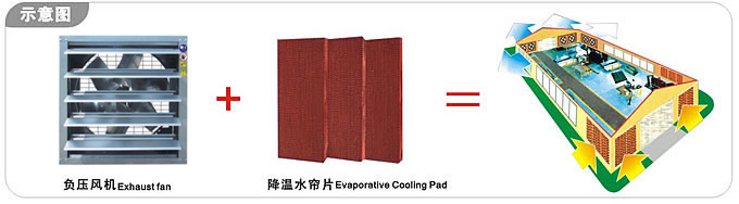 廣州廠房通風(fēng)降溫的方案、豪華形負(fù)壓風(fēng)機(jī)